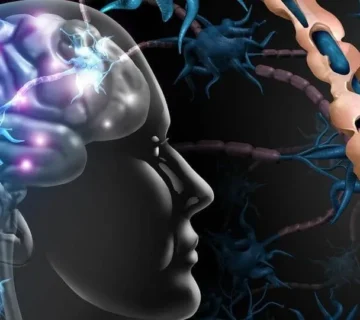 تفاوت ام اس با گیلن باره چیست