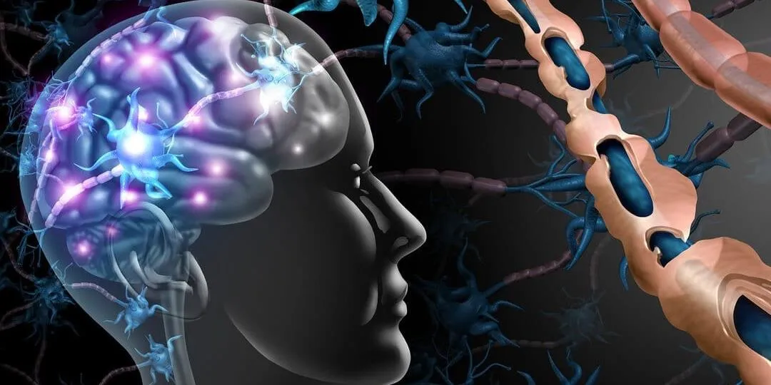 تفاوت ام اس با گیلن باره چیست