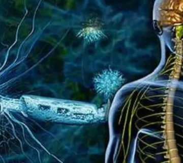 علائم ام اس چیست؟ چگونه تست کنیم؟