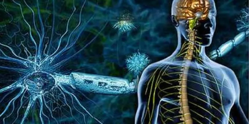 علائم ام اس چیست؟ چگونه تست کنیم؟